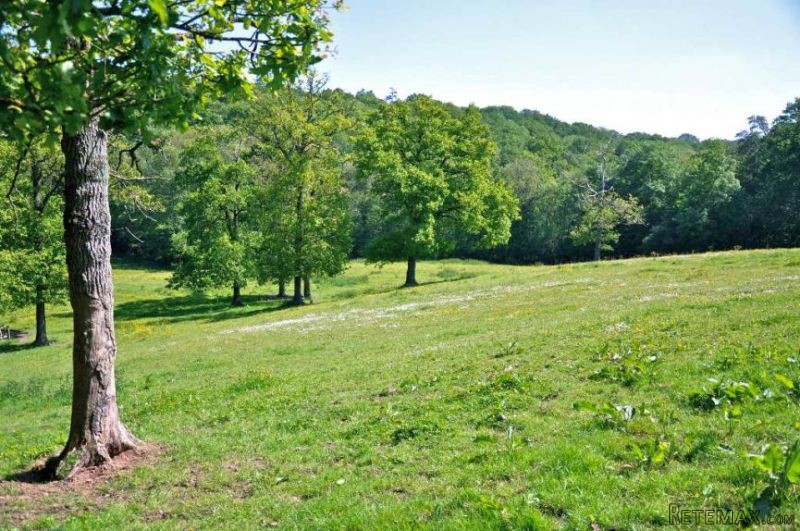 1 Bedroom - Haras / Equestre - For Sale - 2