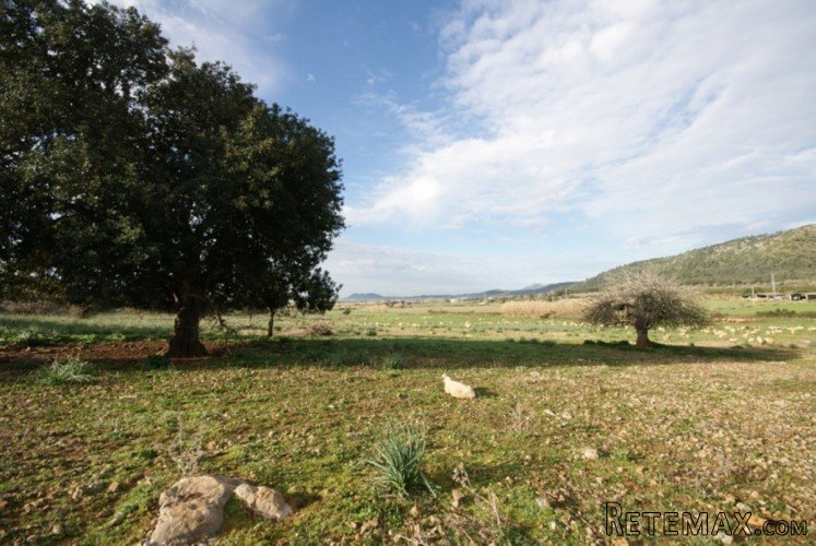 Large 99.443m2 plot of land located on the West slope of.. - 2