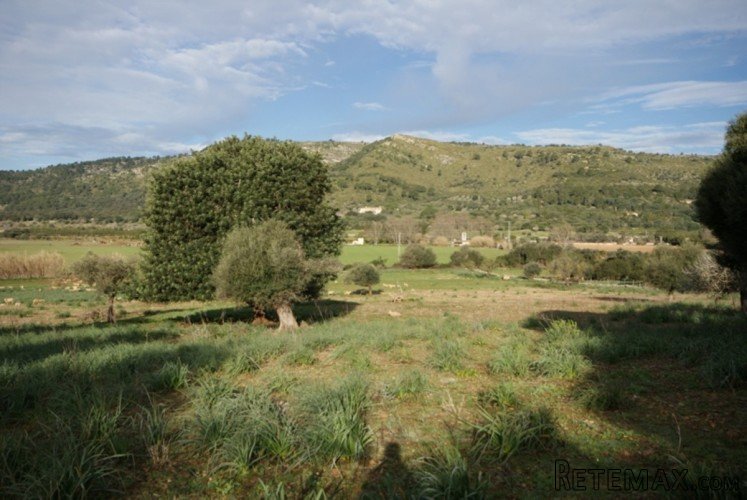 Large 99.443m2 plot of land located on the West slope of.. - 3