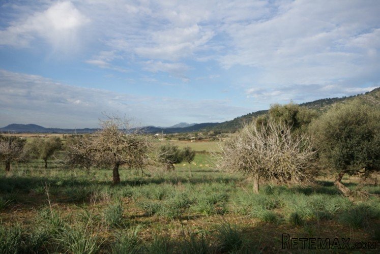 Large 99.443m2 plot of land located on the West slope of.. - 4