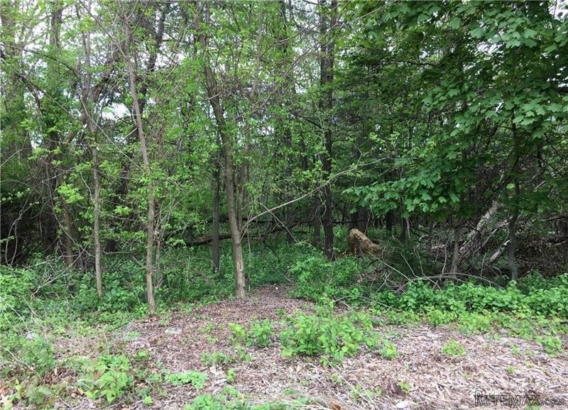 Land For Sale: Dellwood Ardsley NY 10502