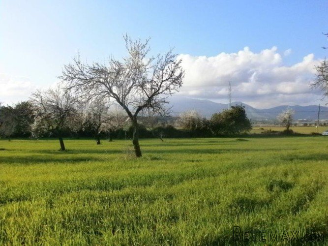 Plot of 7000m2 with a ruine approx. 70m2 to reform.. - 2