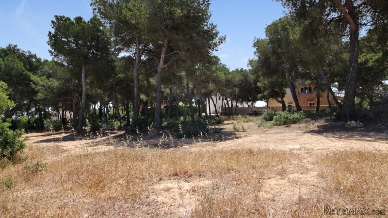PLOTS WITH SEA VIEW - 2