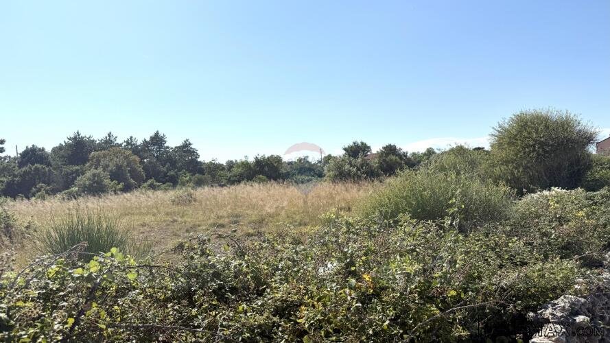Belej, otok Cres, Poljoprivredno zemljište