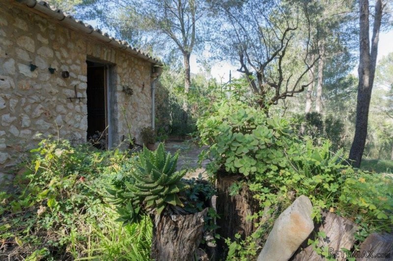 Lovely country house in protected area..