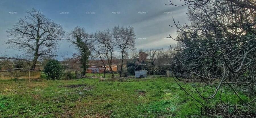 Nova Vas (Brtonigla) – Građevinsko zemljište 555 m² - 2