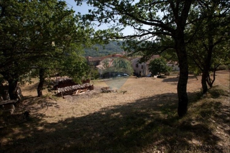 Oaza mira pored Draguća - 2