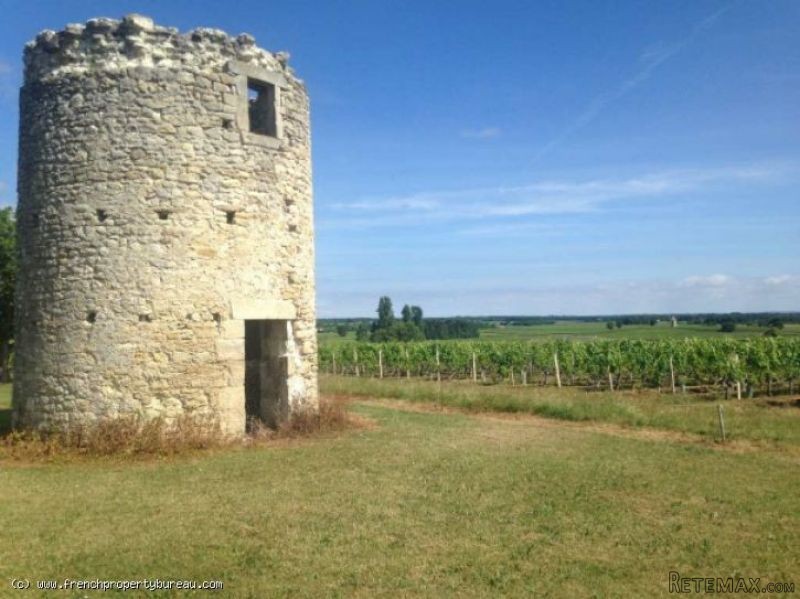 House with original windmill and..