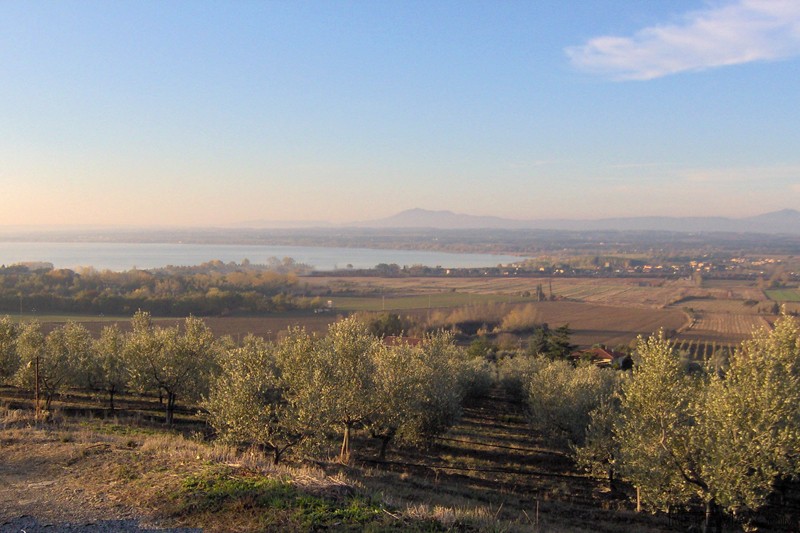 Property - Umbria - For Sale - 2