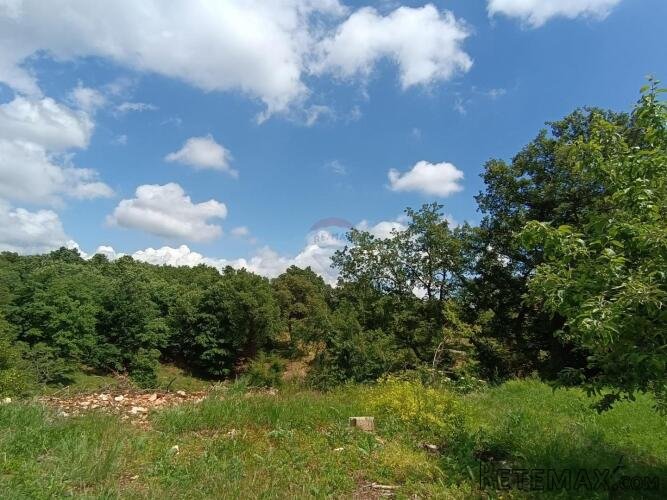 Istra, Tinjan - Građevinsko zemljište u okolici Tinjana