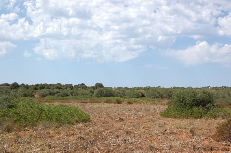 Plot near Cap Salines with plans and..
