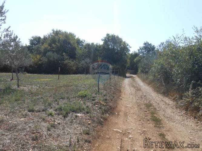 Istra, okolica Fažane, poljoporivredno zemljište sa... - 3