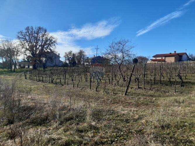 Istra, Karojba građevinsko zemljište - 2