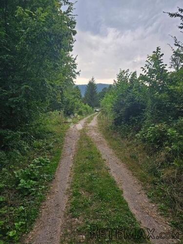 Vrbovsko, predivni tereni u šumskoj oazi - 3