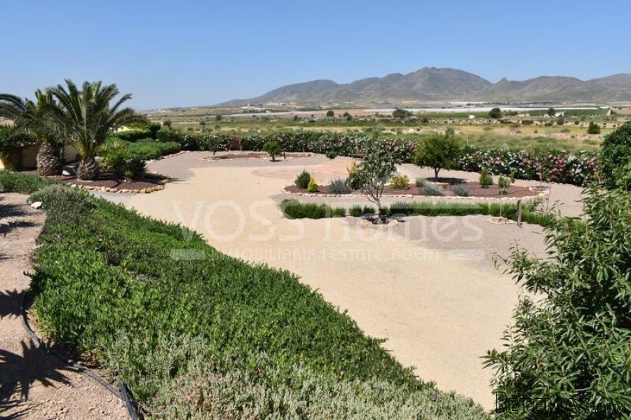 NEW & EXCLUSIVE TO VOSS HOMES - Beautifully renovated.. - 12