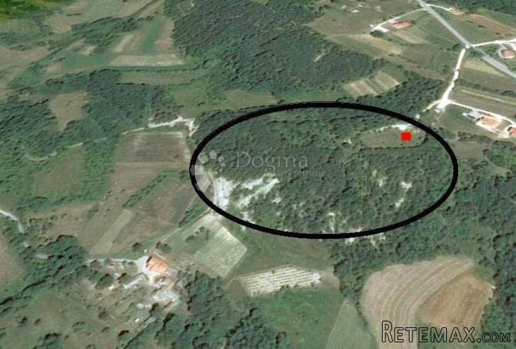 Građevinsko zemljište (2000m2) s bogatom šumom (36789 m2)