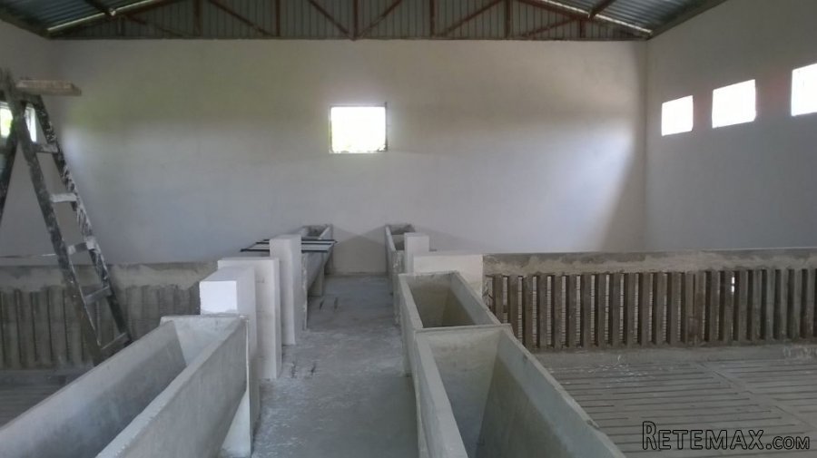 Kuca i komercijalno gazdinstvo - 7