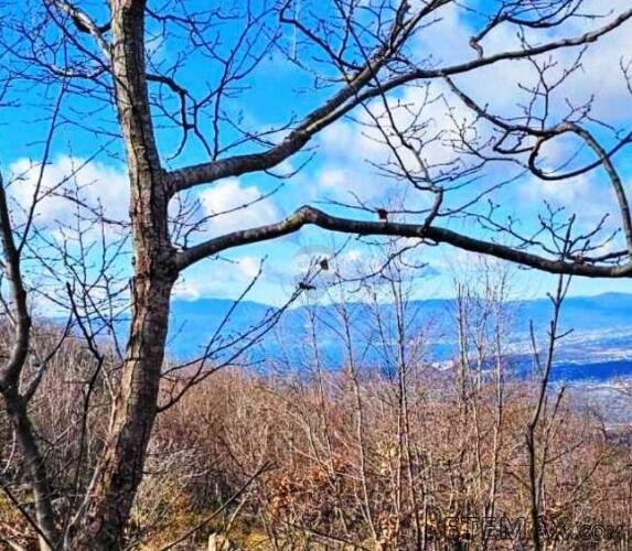 Hreljin, šumsko zemljište od 20000m2 s pogledom na more