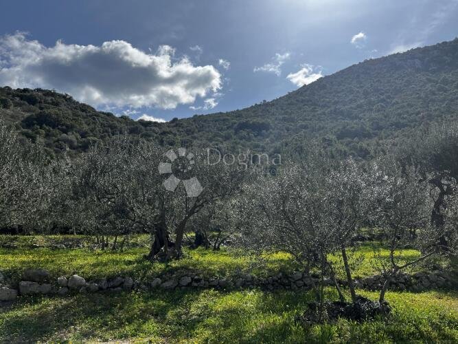 Pelješac, Građevinsko zemljište Trpanj - 2