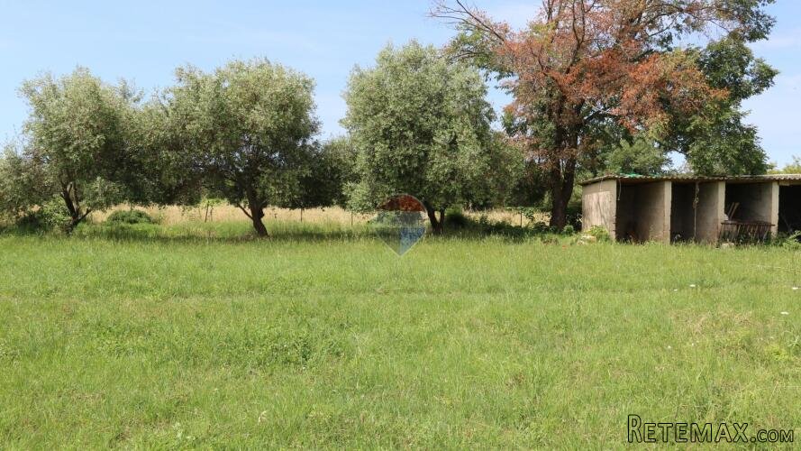Vrsar, okolica- građevinsko zemljište okruženo prirodom - 2