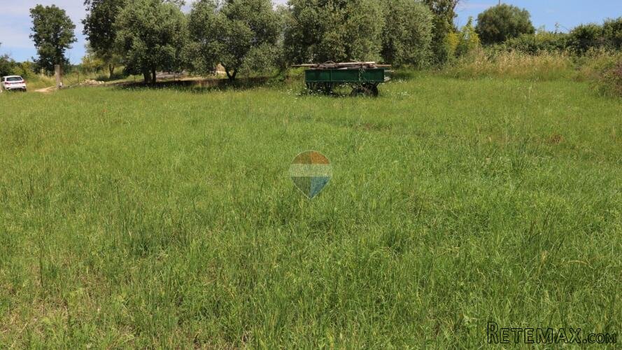 Vrsar, okolica- građevinsko zemljište okruženo prirodom - 3