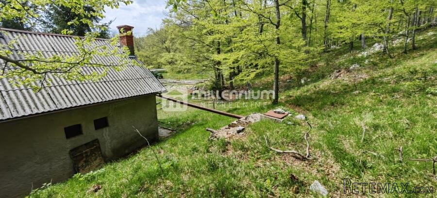 Platak, 40m2, vikendica s 7.611m2 okućnice - 8
