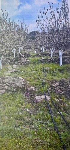 GRAĐEVINSKO ZEMLJIŠTE SA DOZVOLOM TUGARE - 3