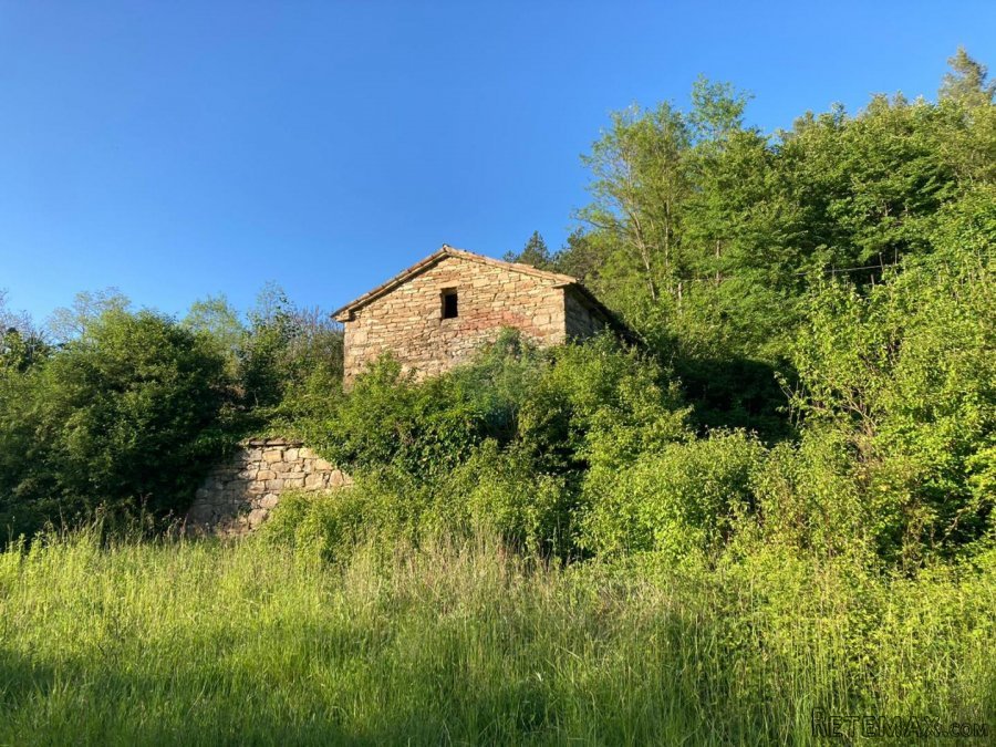 Istra,Belaj-Staro istarsko imanje s kućom za adaptaciju i ve - 3