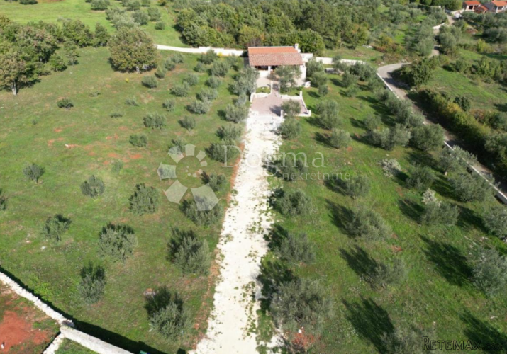 Panoramski pogled