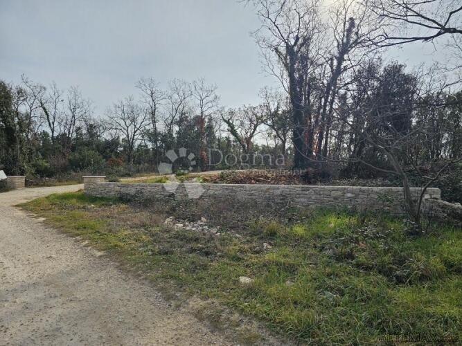807 m2 - poljoprivredno zemljište