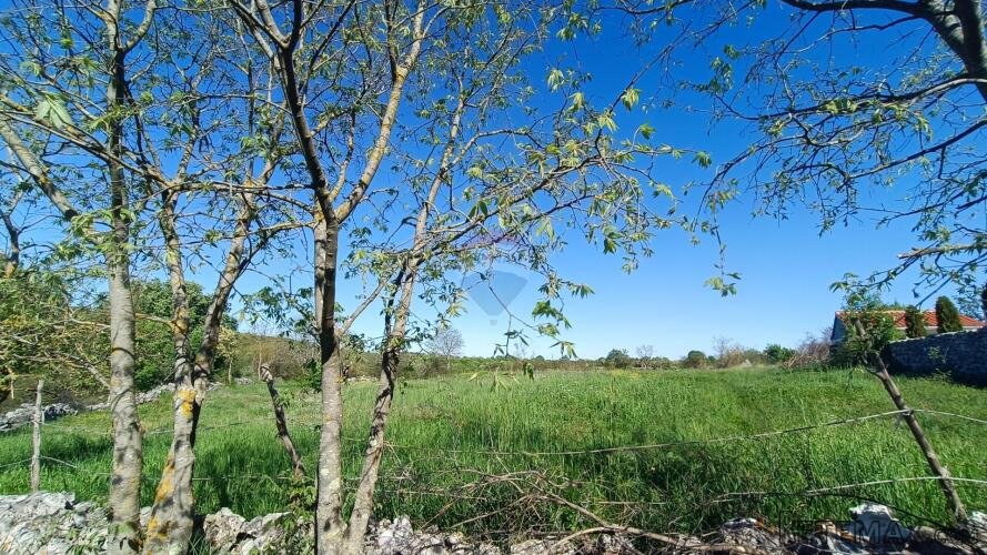 Istra, Bale- građevinsko zemljište na odličnoj poziciji