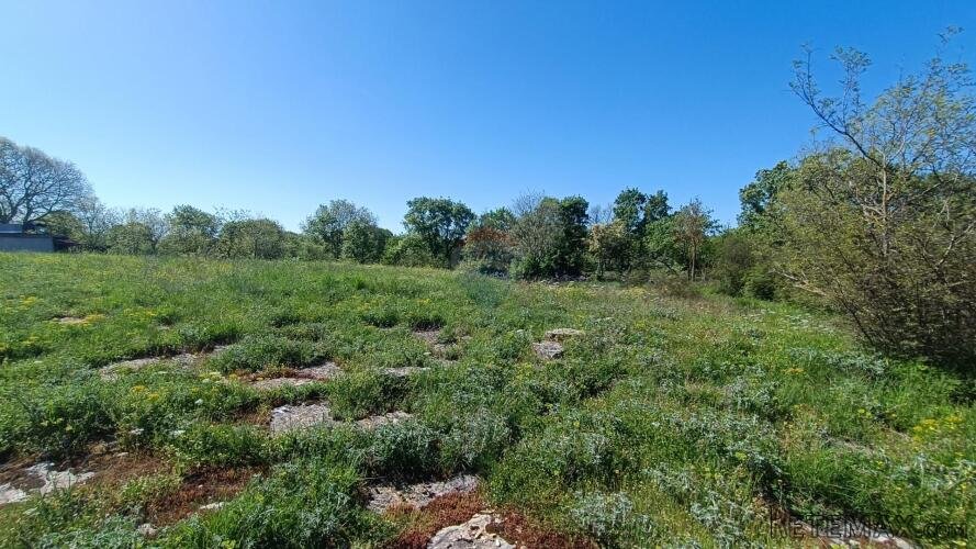 Istra, Bale- okolica - građevinsko zemljište