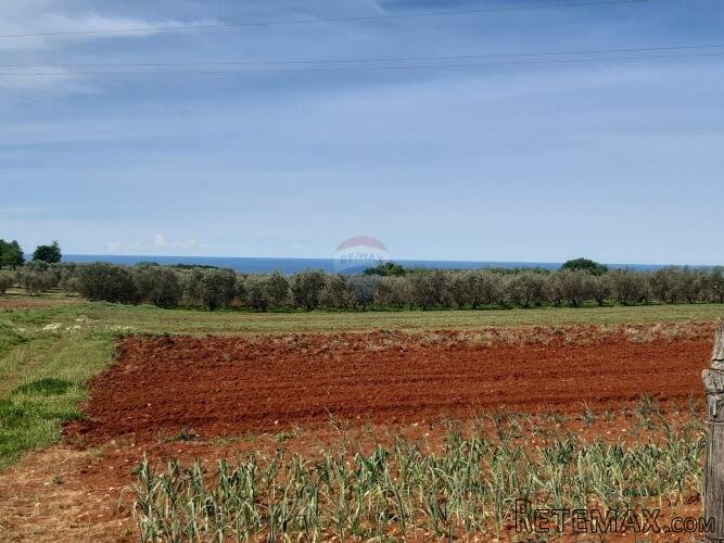 Istra, Poreč okolica - Kaštelir građevinsko zemljište - 2