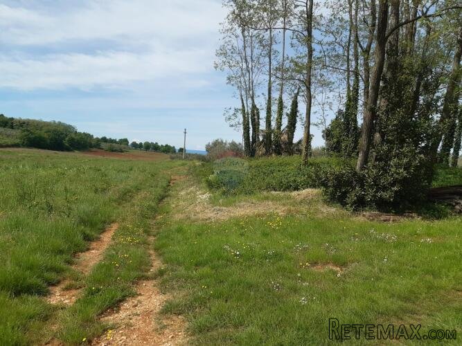 Istra, Poreč okolica - Kaštelir građevinsko zemljište - 3