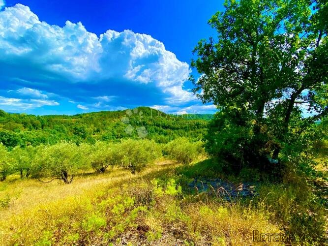 Građevinsko zemljište centralna Istra - 3