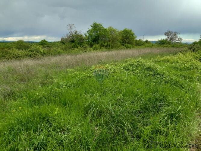 Istra, Barban okolica građevinsko zemljište - 3