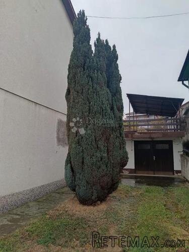 Prostrana katnica u Belom Manastiru – spremna za život! - 3