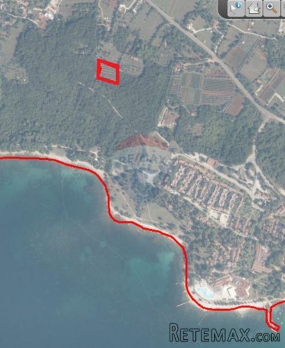 Rovinj,maslinik 3200m2,250m od mora - 6