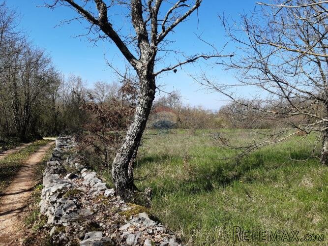 Istra, Sveti Petar u Šumi - građevinsko zemljište - 2