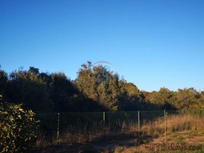 VALBANDON,ŠURIDA, - poloprivredna - vikend parcela - 2