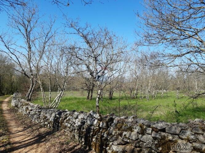 Istra, Sveti Petar u Šumi - građevinsko zemljište - 3