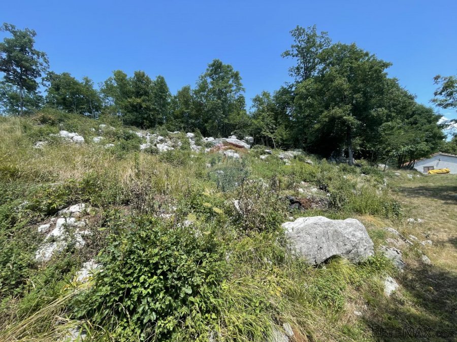 MATULJI, Mučići - Građevinsko zemljište 2000m2 - 3