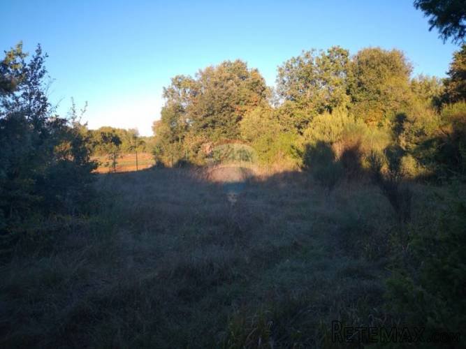 VALBANDON,ŠURIDA, - poloprivredna - vikend parcela - 3