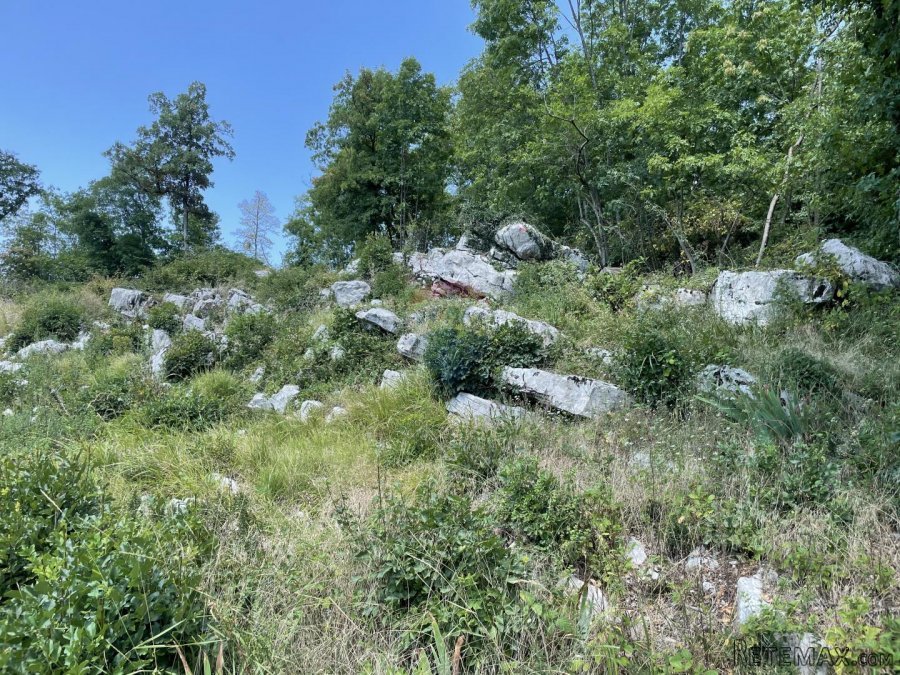 MATULJI, Mučići - Građevinsko zemljište 2000m2 - 6