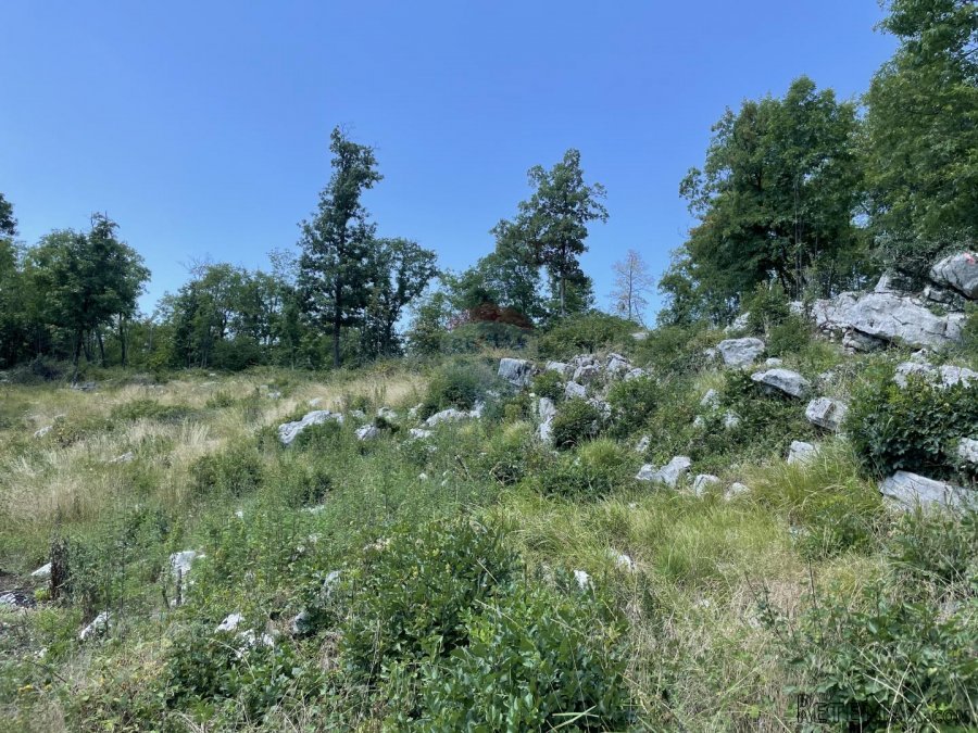 MATULJI, Mučići - Građevinsko zemljište 2000m2 - 7