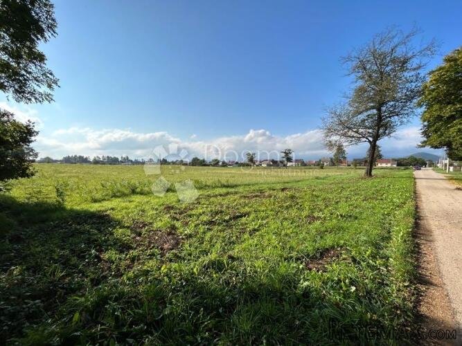 GRAĐE.ZEMLJIŠTE 16000m2 - cijelo/pola/trećina/ PRILIKA
