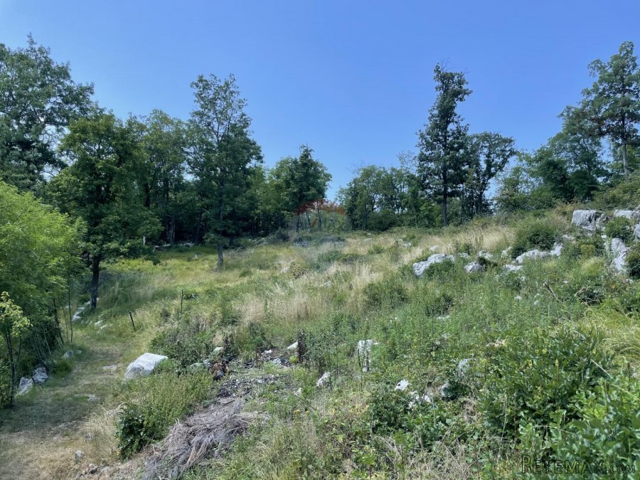 MATULJI, Mučići - Građevinsko zemljište 2000m2 - 8
