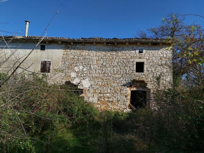 Stancija za obnovu na 3ha zemljišta na osami