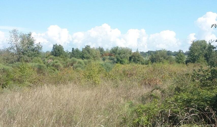 Istra, Umag, Lovrečica - poljoprivredno zemljište 150 m od m - 2