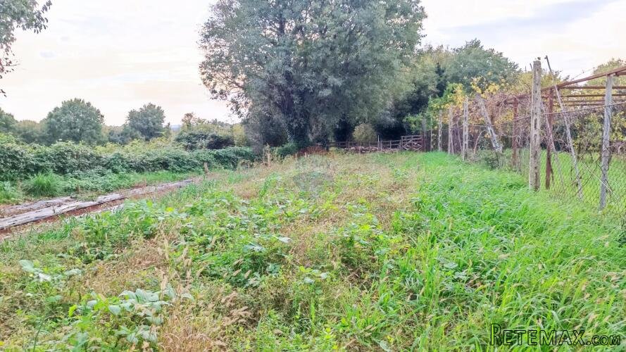 Istra, Valtura - građevinsko zemljište s ucrtanim objektima - 2